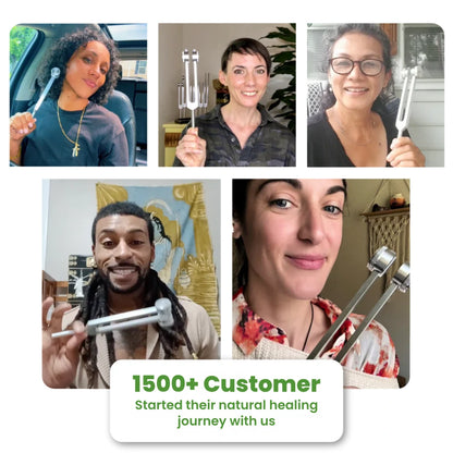 NeuroTune Pro - 128Hz Healing Forks